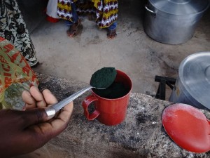 給食に混ぜるスピルリナの粉末