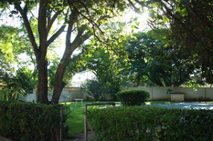 緑に覆われたザンビア駐在員　寄宿舎の様子